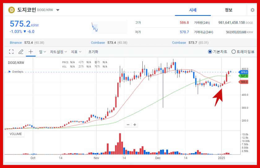 도지코인 2025년 1월초 챠트